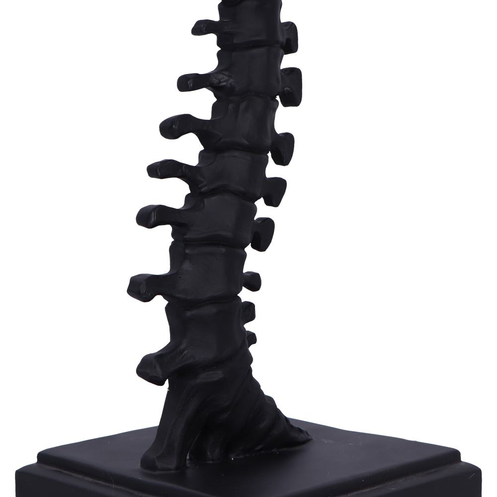 Vertebrae Lamp 38cm