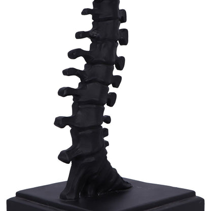 Vertebrae Lamp 38cm