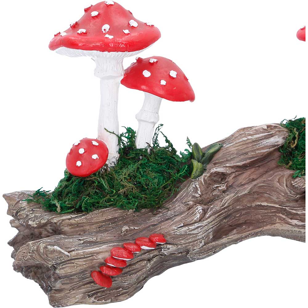 Toadstool Trunk 23.7cm