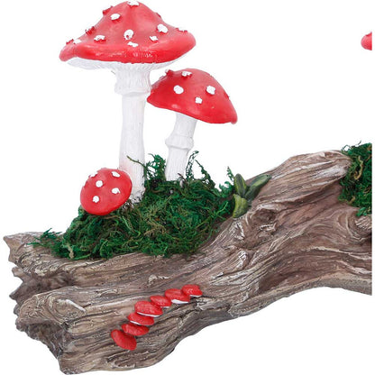Toadstool Trunk 23.7cm