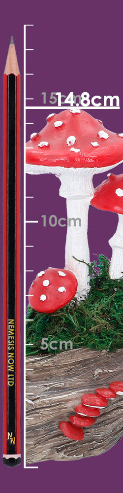 Toadstool Trunk 23.7cm