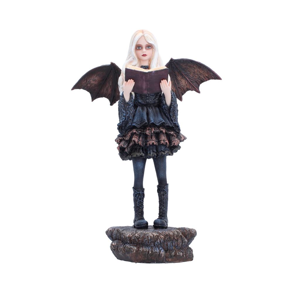 Nemesis Now Hidden Verses 26cm fairy figurine with intricate detailing and enchanting design.
