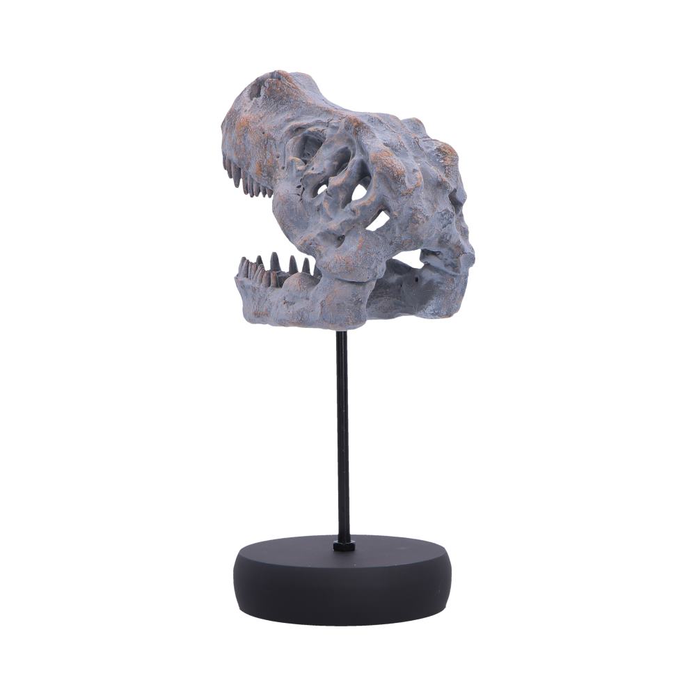 Nemesis Now Tyrannosaurus Rex skull figurine on plinth, 24.2cm, detailed dinosaur replica for display or collection.