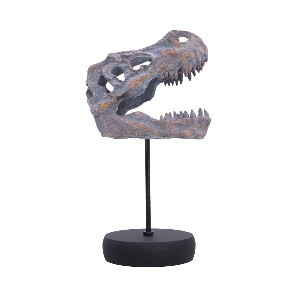 Nemesis Now Tyrannosaurus Rex skull figurine on a plinth, 24.2cm tall, detailed fossil replica for collectors and display.