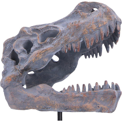 Nemesis Now Tyrannosaurus Rex skull figurine on plinth, measuring 24.2cm, detailed replica of prehistoric dinosaur skull.