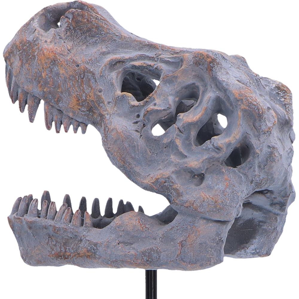 Nemesis Now Tyrannosaurus Rex skull figurine on a plinth, measuring 24.2cm tall, detailed prehistoric dinosaur replica.