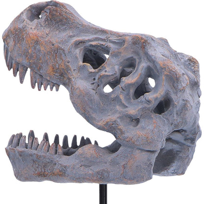 Nemesis Now Tyrannosaurus Rex skull figurine on a plinth, measuring 24.2cm tall, detailed prehistoric dinosaur replica.
