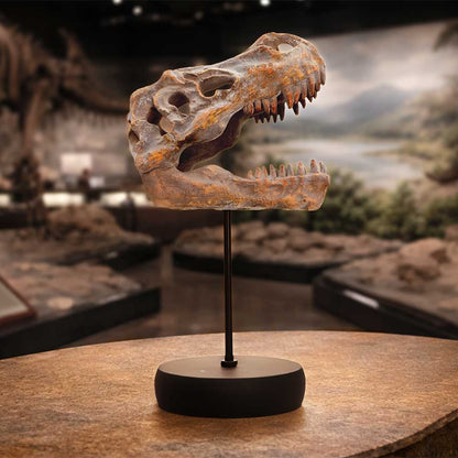 Nemesis Now Tyrannosaurus Rex skull figurine on a plinth, measuring 24.2cm, detailed dinosaur skull sculpture for display.