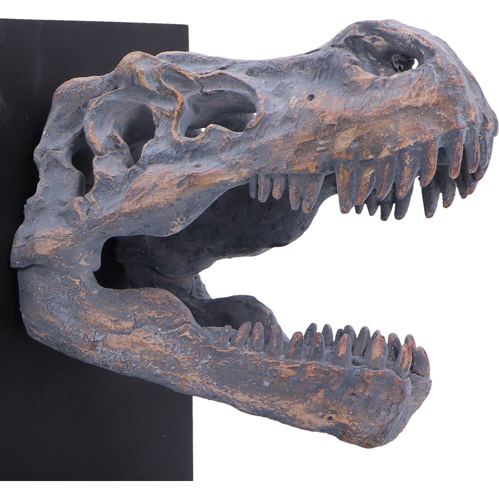 Nemesis Now T. Rex skull bookends, 17.1cm tall, featuring detailed dinosaur skull design for sturdy book support and decor.