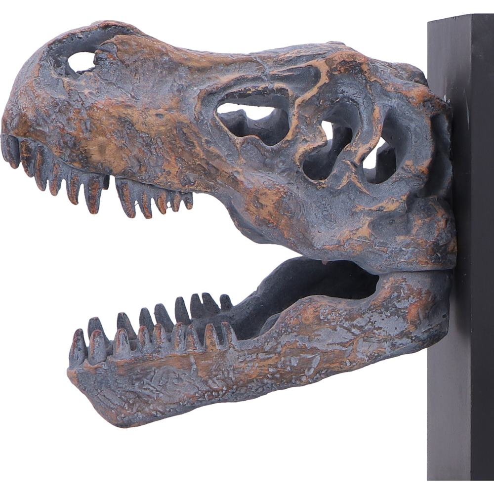 Nemesis Now T. Rex skull bookends, 17.1cm, detailed dinosaur-themed decorative bookends with realistic fossil design.