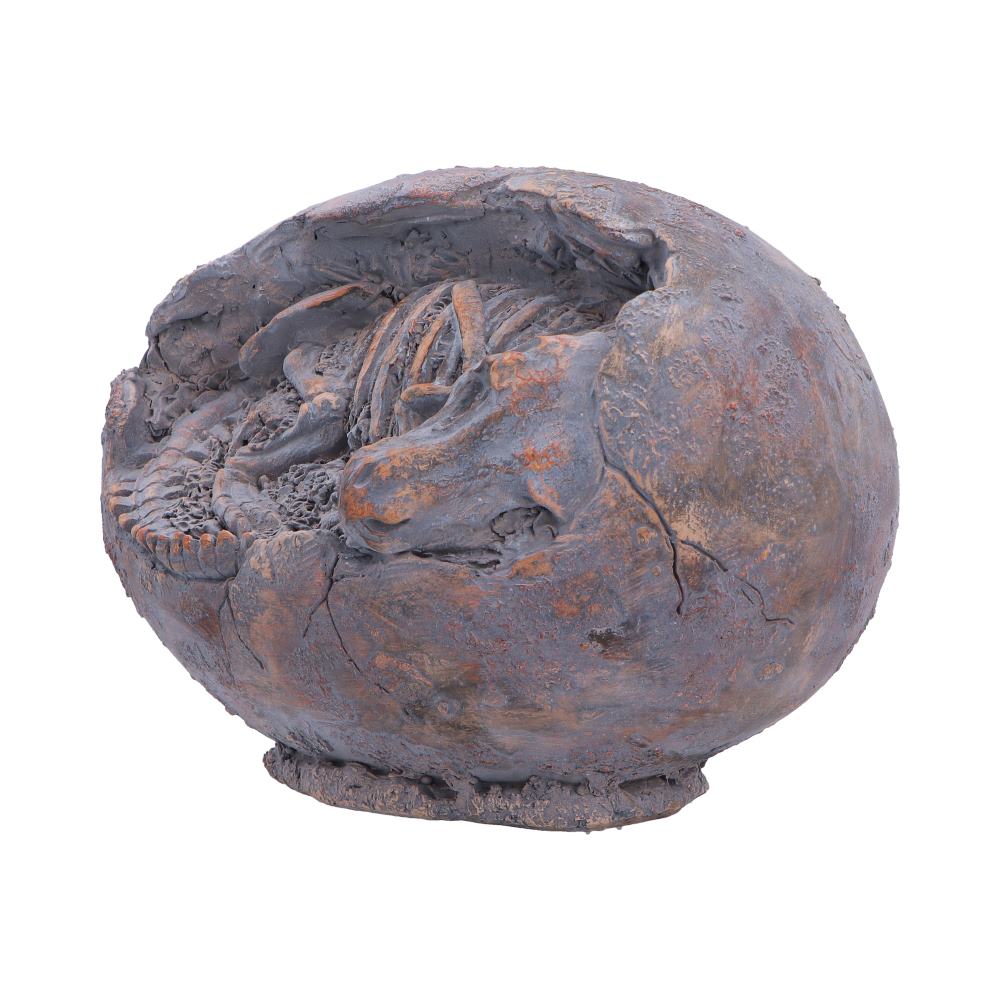Nemesis Now Tyrannosaurus Rex Egg figurine, 13.3cm, detailed dinosaur collectible with textured surface and realistic features.