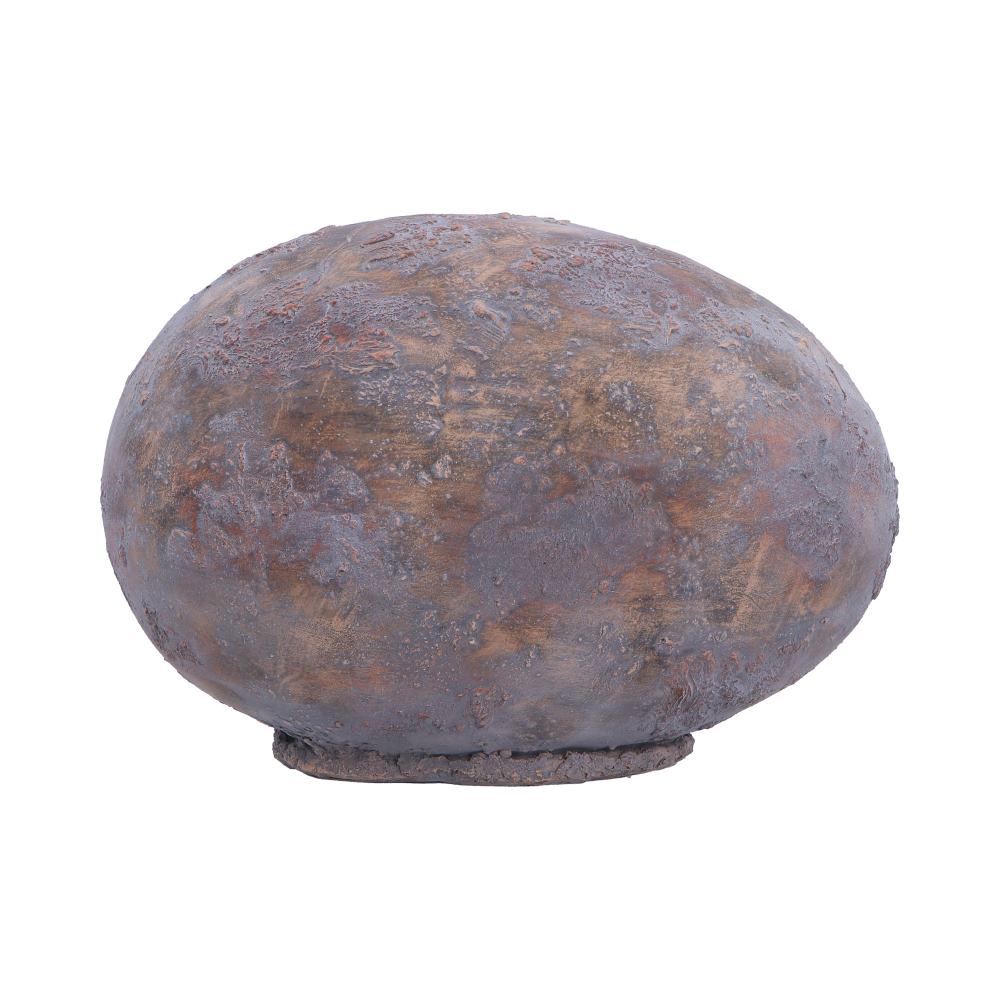 Nemesis Now T-Rex Egg Figurine, 13.3cm dinosaur sculpture with detailed T-Rex hatchling in a realistic egg shell.