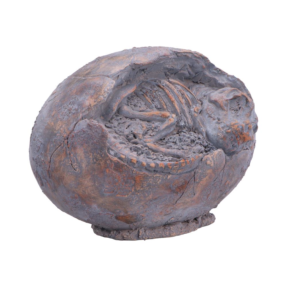 Nemesis Now Tyrannosaurus Rex Egg figurine, 13.3cm tall, detailed dinosaur sculpture with textured surface and realistic features.