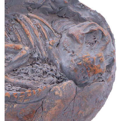 Nemesis Now T. Rex Egg figurine, 13.3cm, featuring a detailed Tyrannosaurus Rex hatchling with textured scales and realistic features.