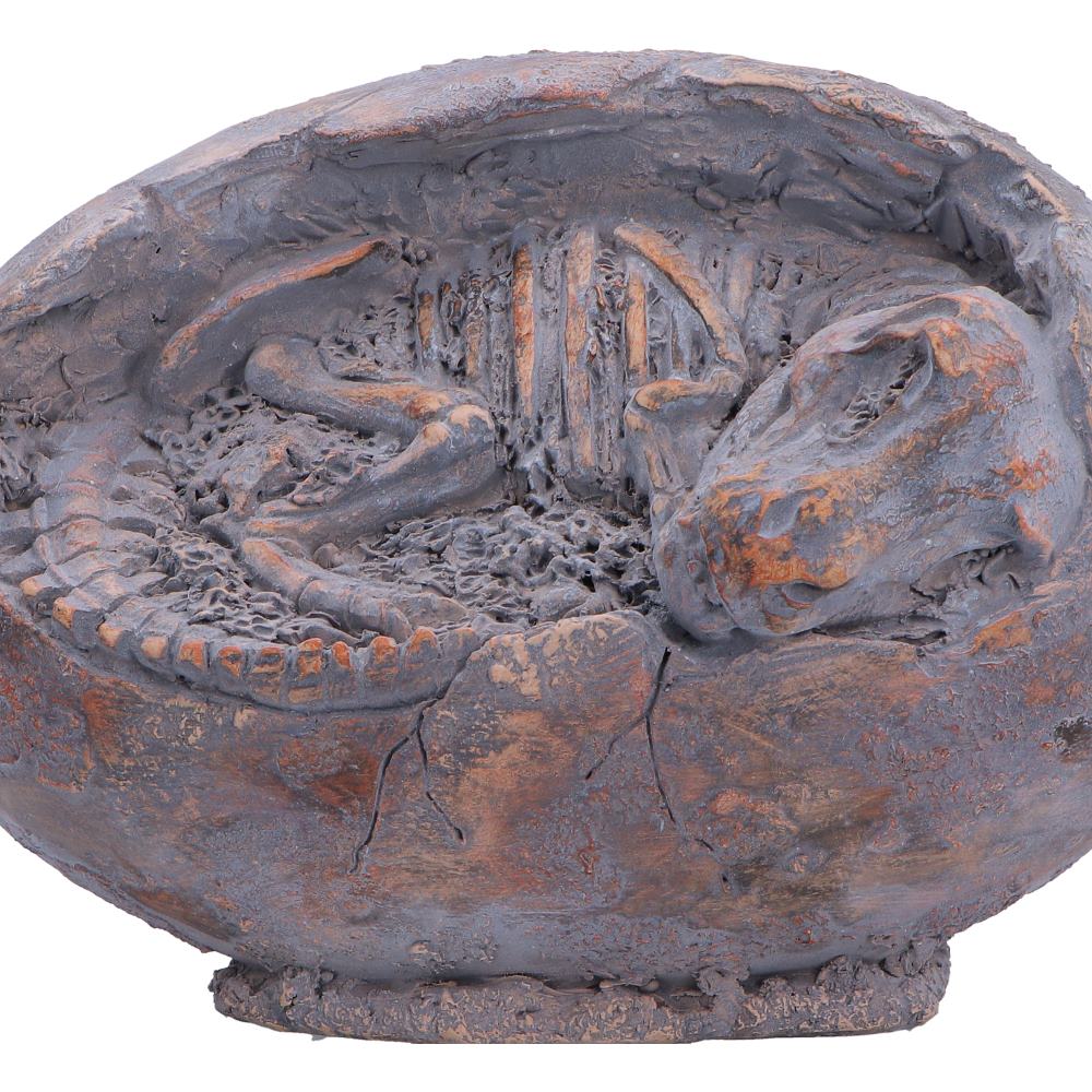 Nemesis Now Tyrannosaurus Rex egg figurine, 13.3cm, detailed prehistoric dinosaur sculpture with textured surface and realistic features.