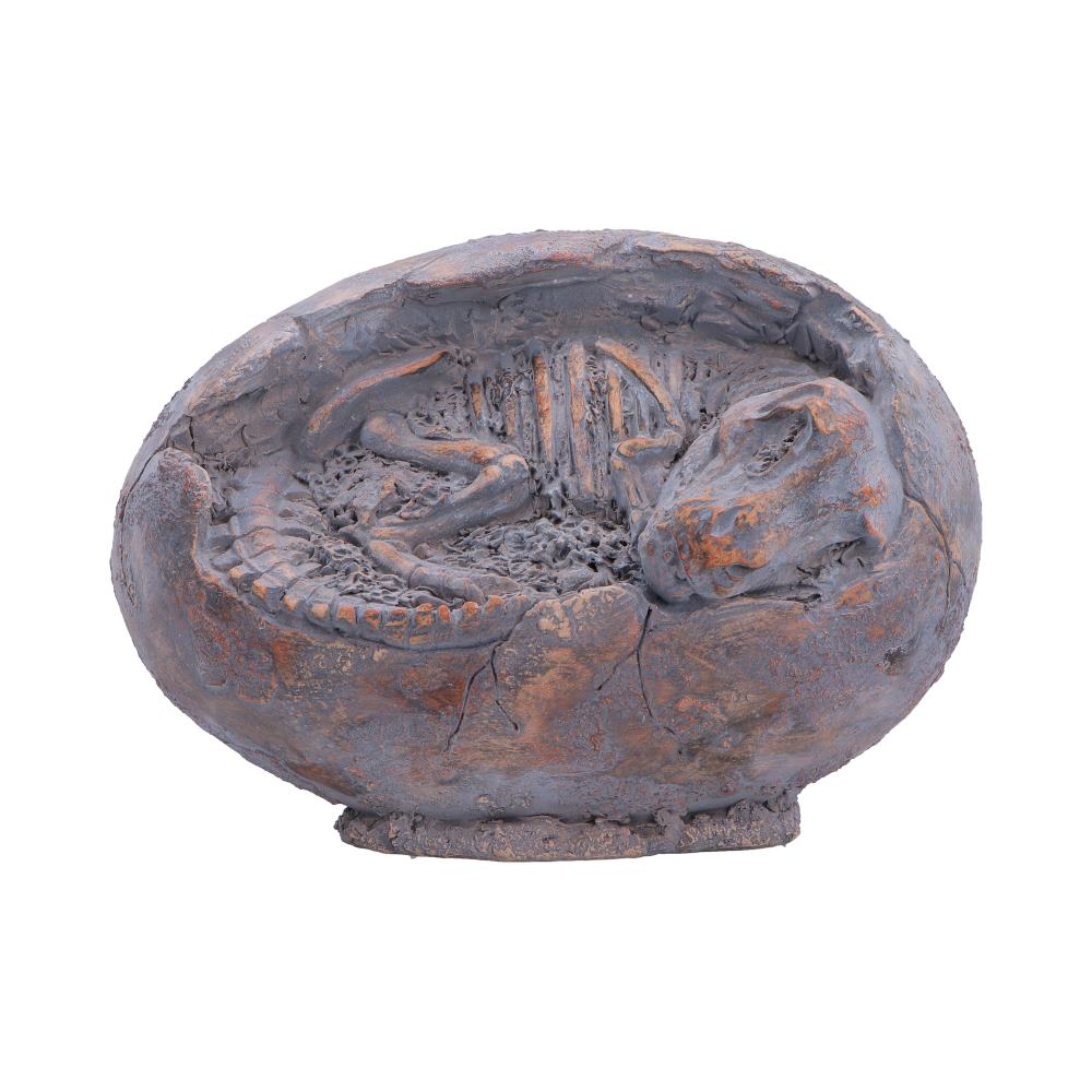 Nemesis Now Tyrannosaurus Rex egg figurine, 13.3cm tall, detailed dinosaur sculpture with realistic features.