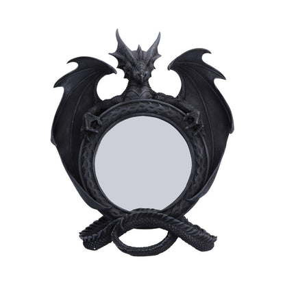 Darkwing Reflection 37.3cm