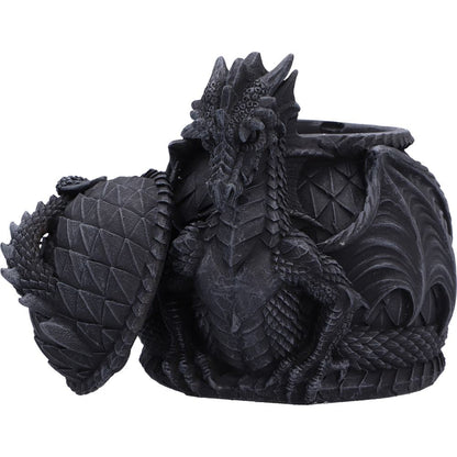 Darkwing Treasure Box 13.3cm