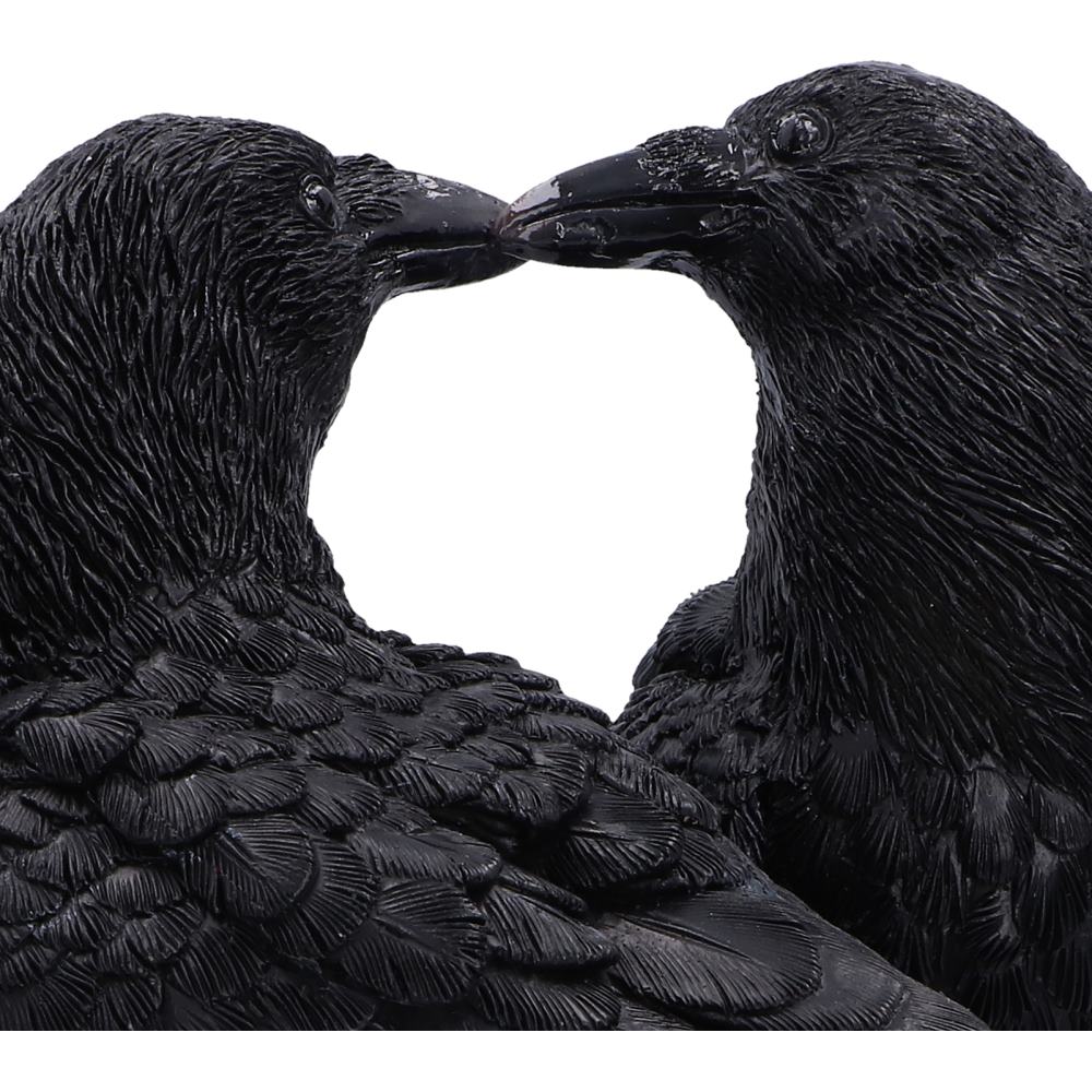 Midnight Kiss 13.9cm