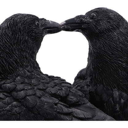 Midnight Kiss 13.9cm