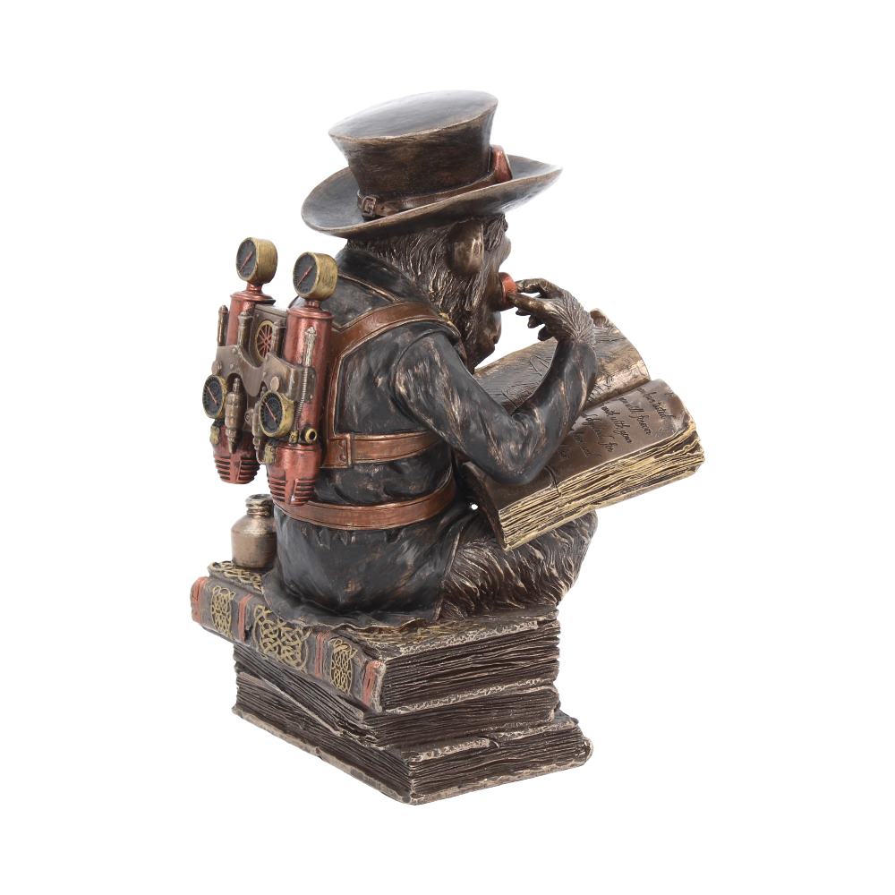 Chimpanzee Scholar 19.5cm