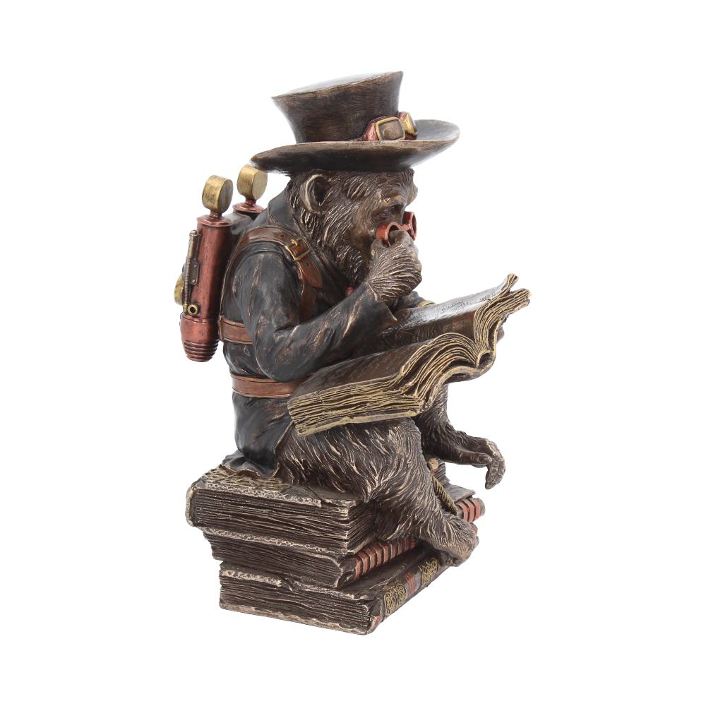 Chimpanzee Scholar 19.5cm