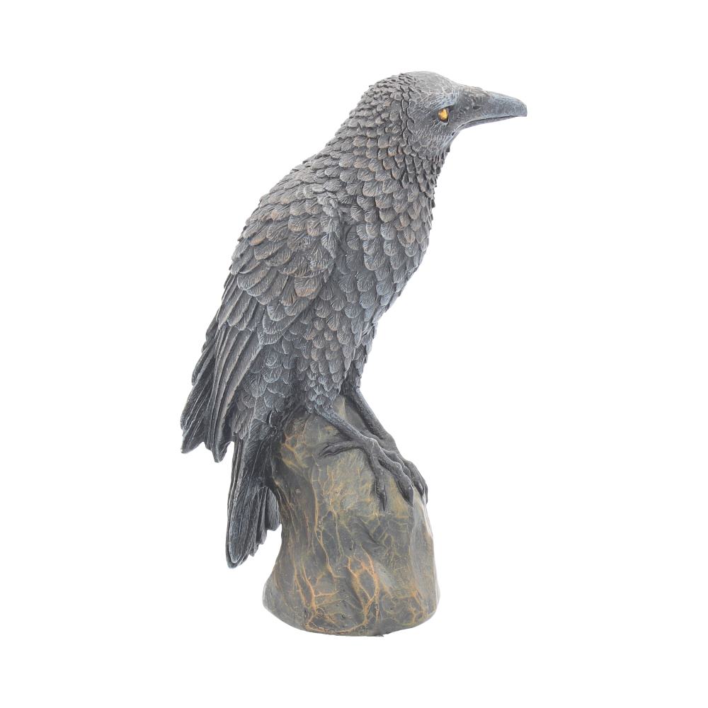 Ravens Rest 16cm