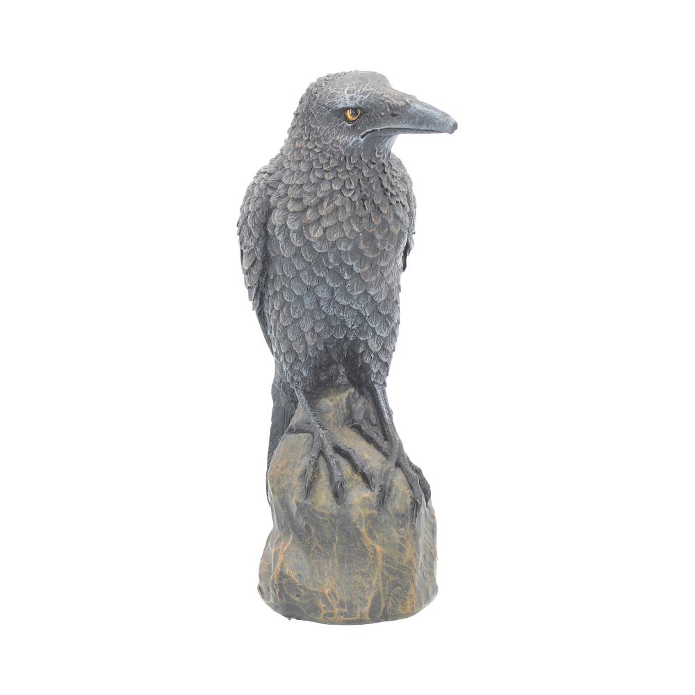 Ravens Rest 16cm