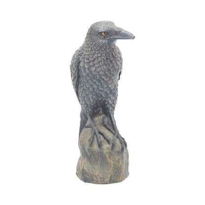 Ravens Rest 16cm