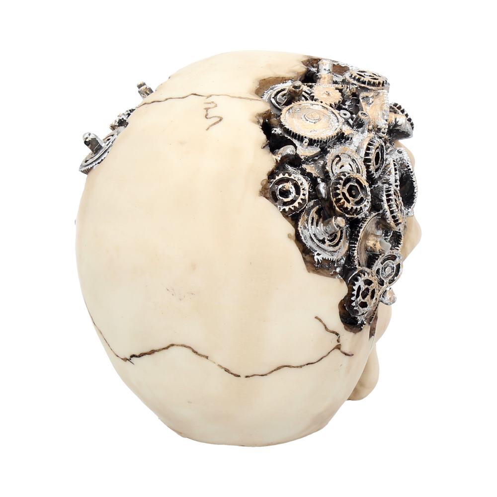 Clockwork Cranium 15cm