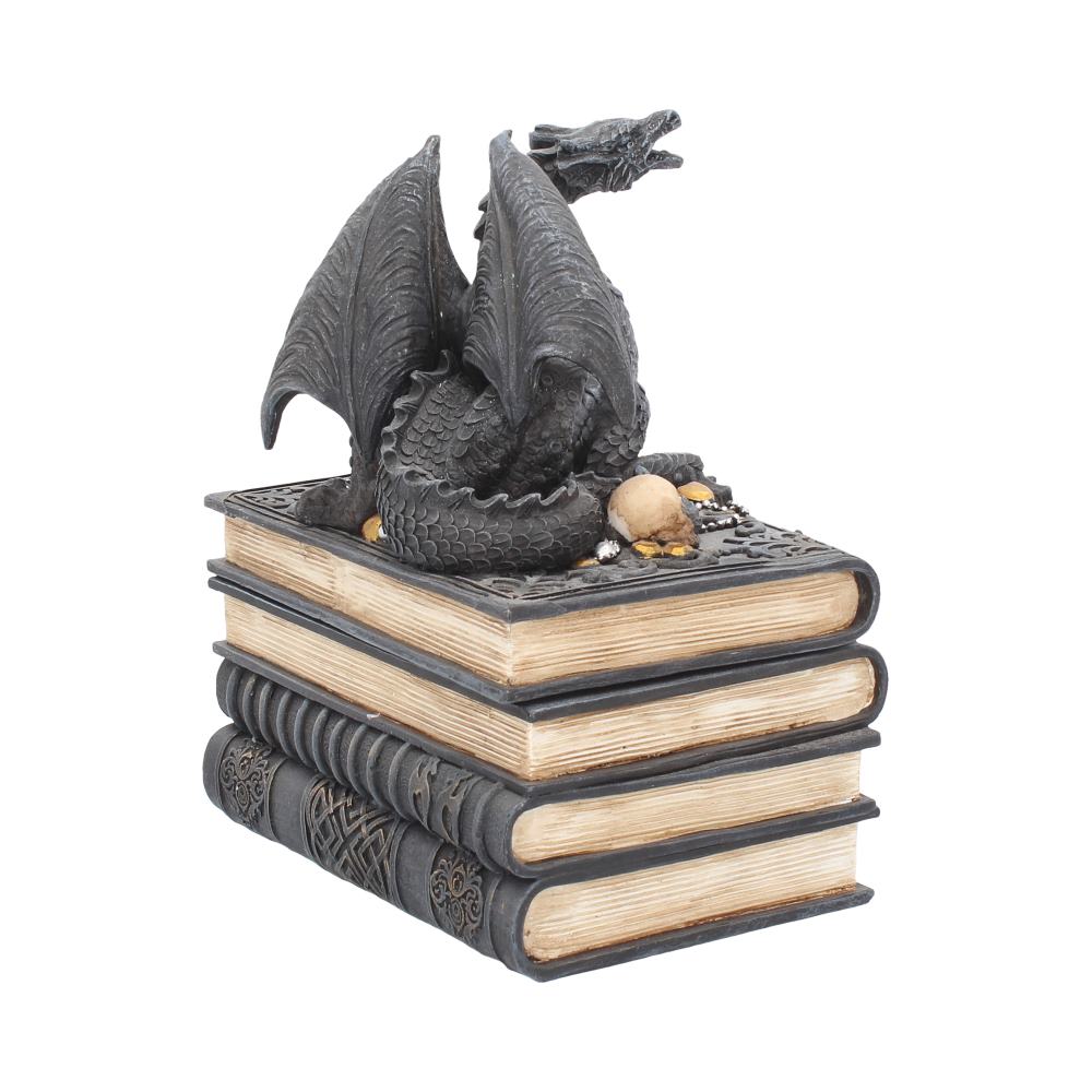 Secrets Of The Dragon 19cm