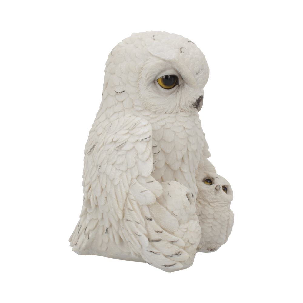 Feathered Family 21.5cm