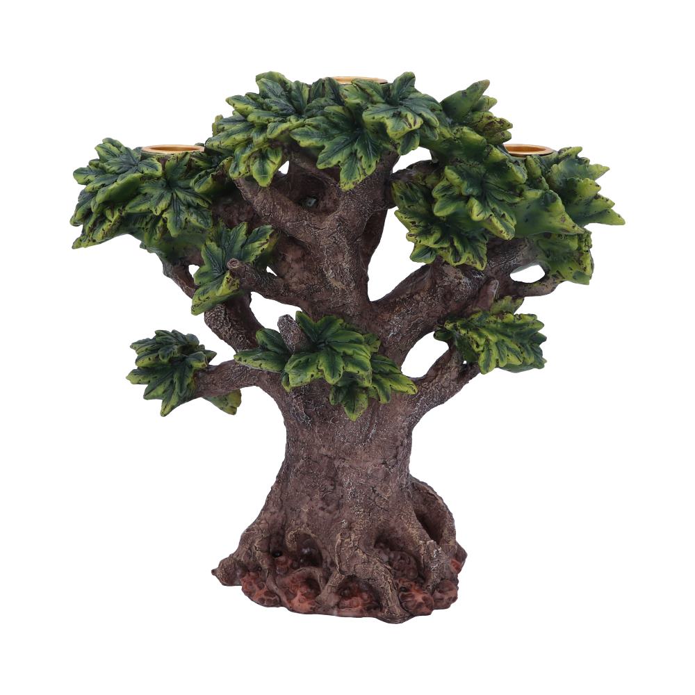 Forest Flame 21.5cm