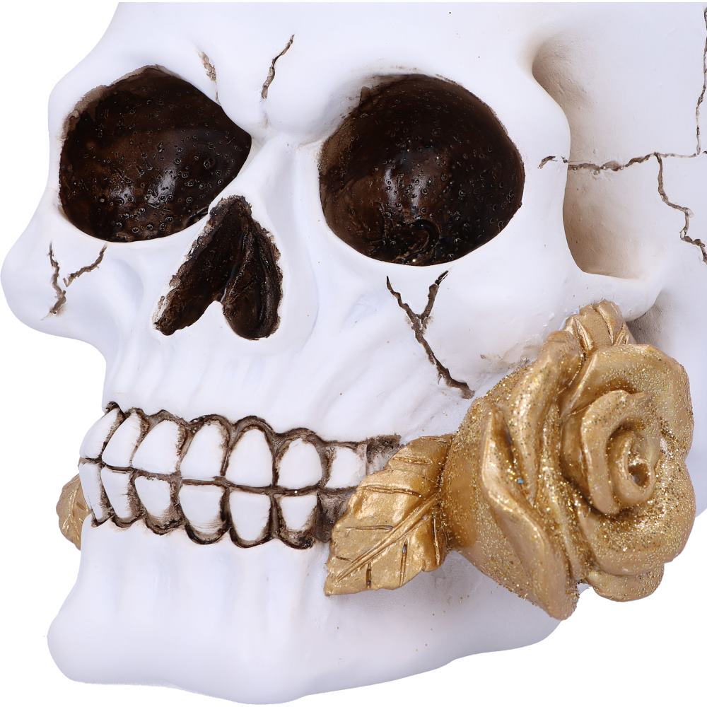 Floral Fate 17.5cm