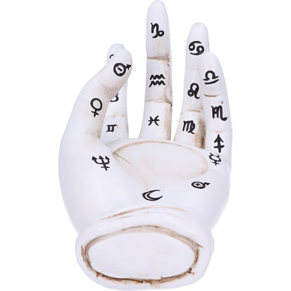 Palmist's Prediction (White) 18.3cm