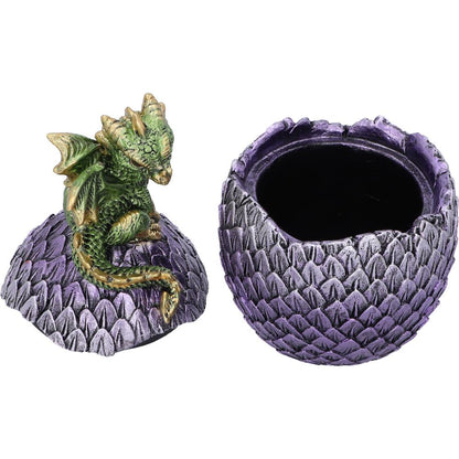 Dragonling Perch Box (Green) 14cm