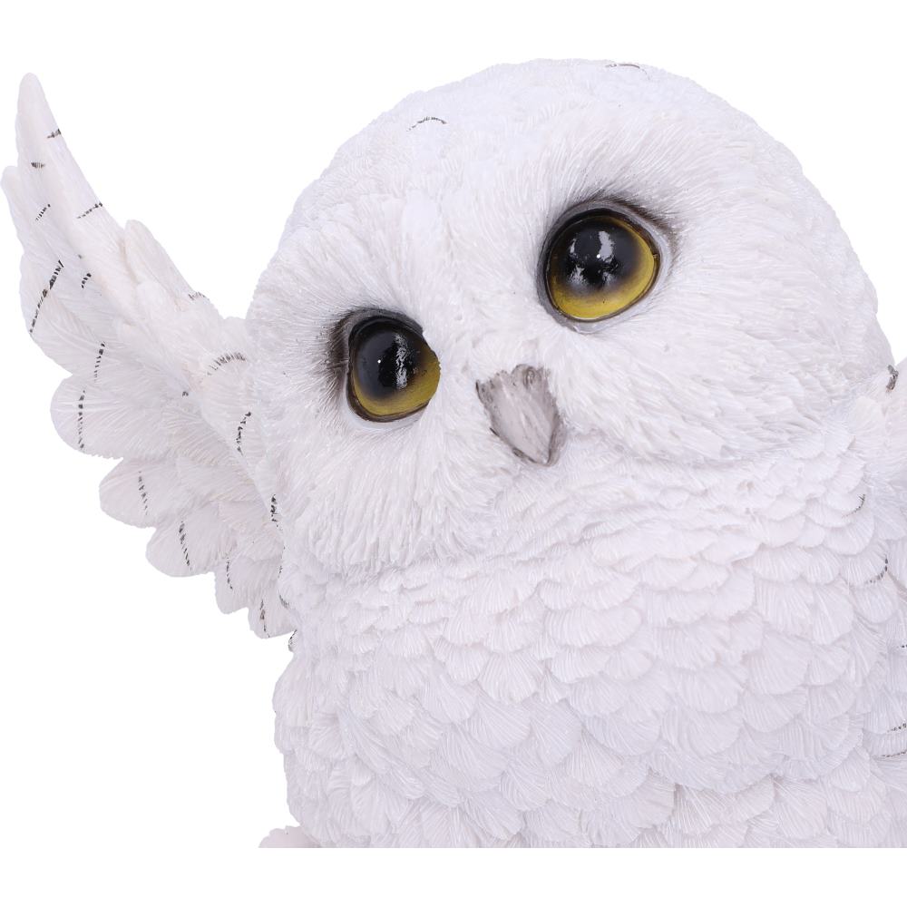 Snowy Delight 20.5cm