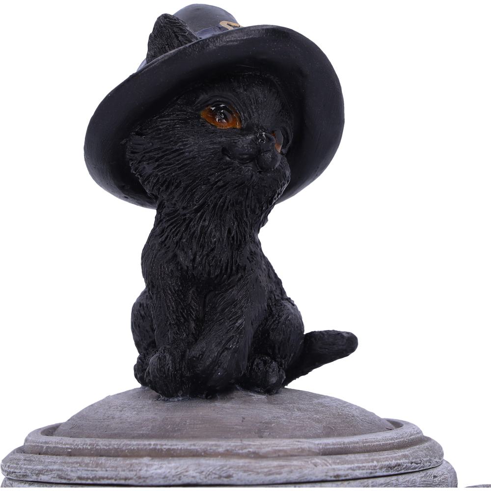 Kitty's Brew 14cm