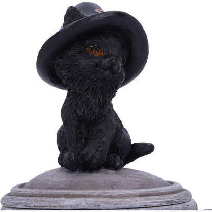 Kitty's Brew 14cm