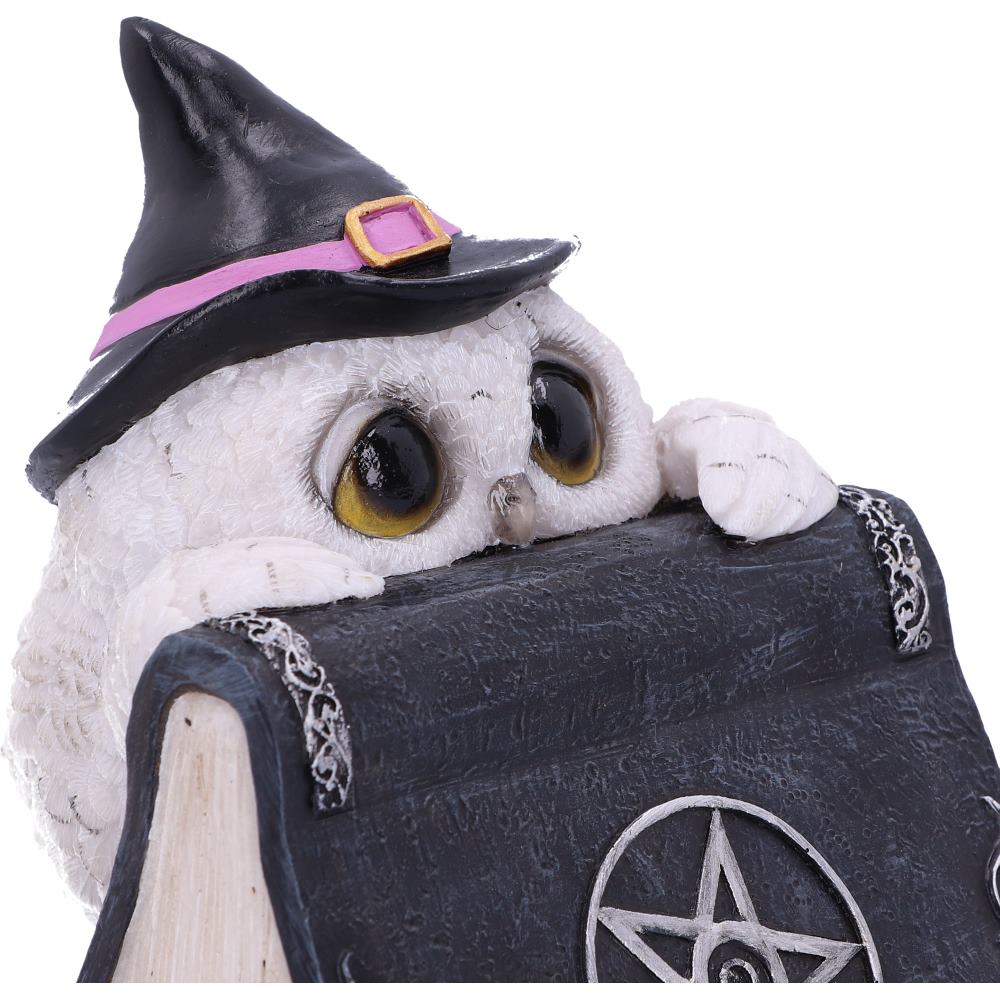 Owl's Spell 15cm