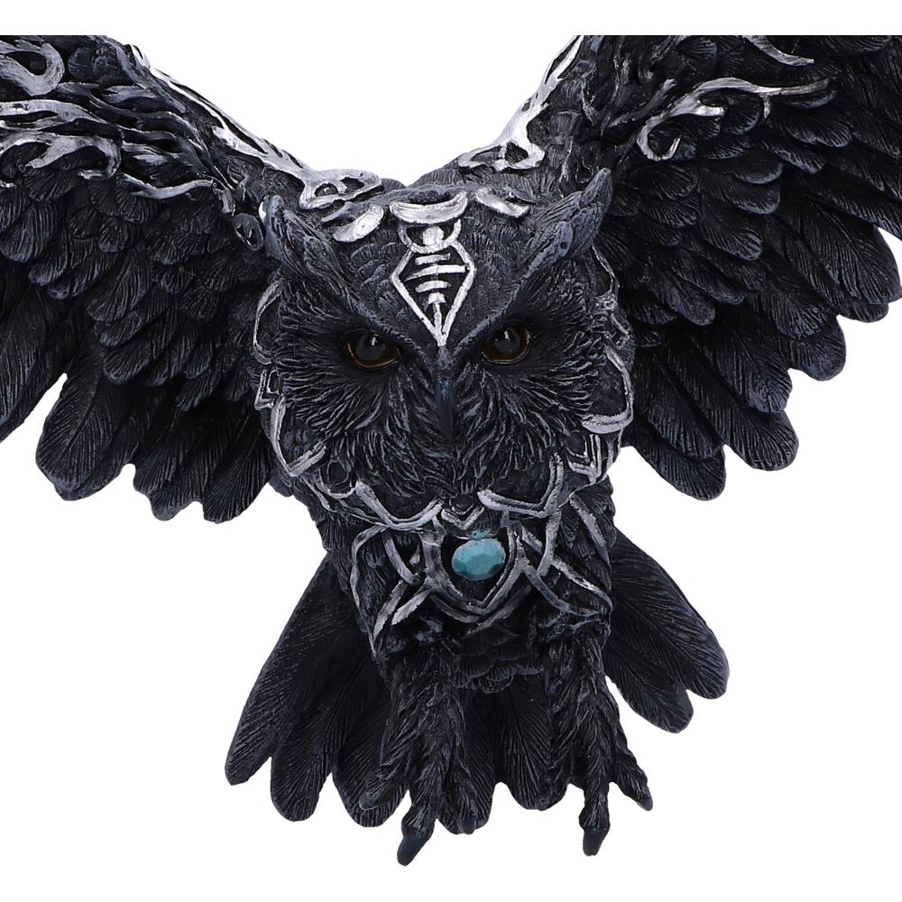 Dark Feather 55cm
