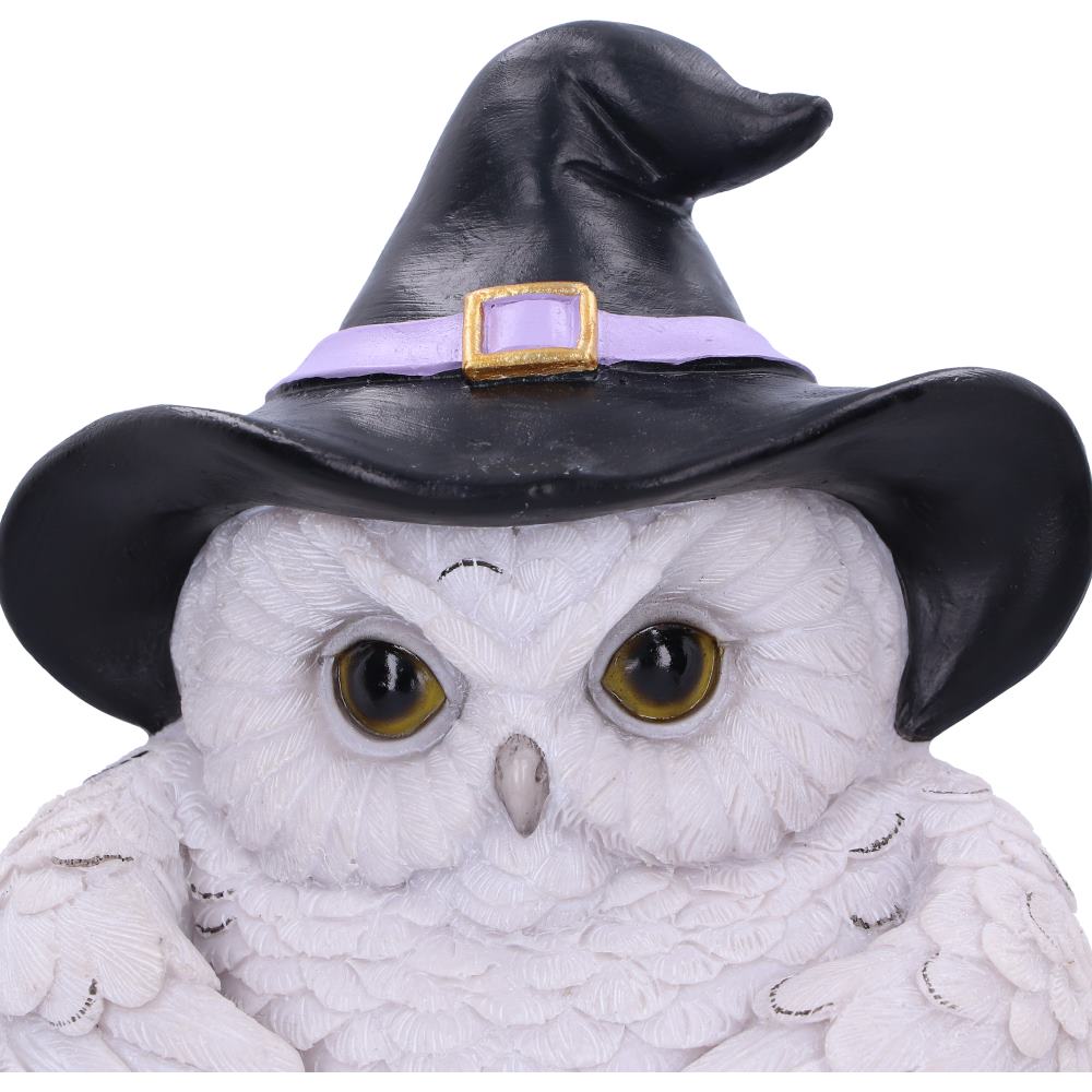 Snowy Magic Door Knocker 21cm