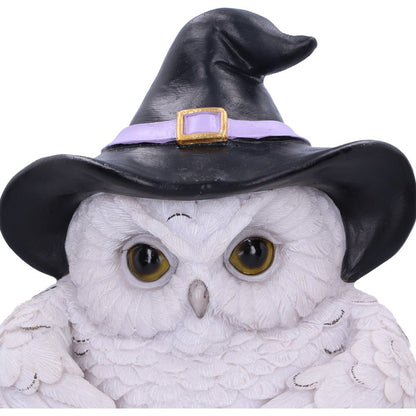 Snowy Magic Door Knocker 21cm