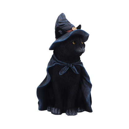 Bewitching 18.5cm