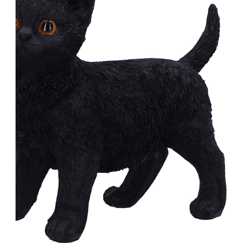 Charmed Companion 20cm