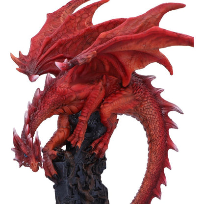Draconic Roots 28.5cm