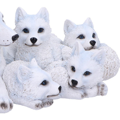 Pups Protection 20.5cm