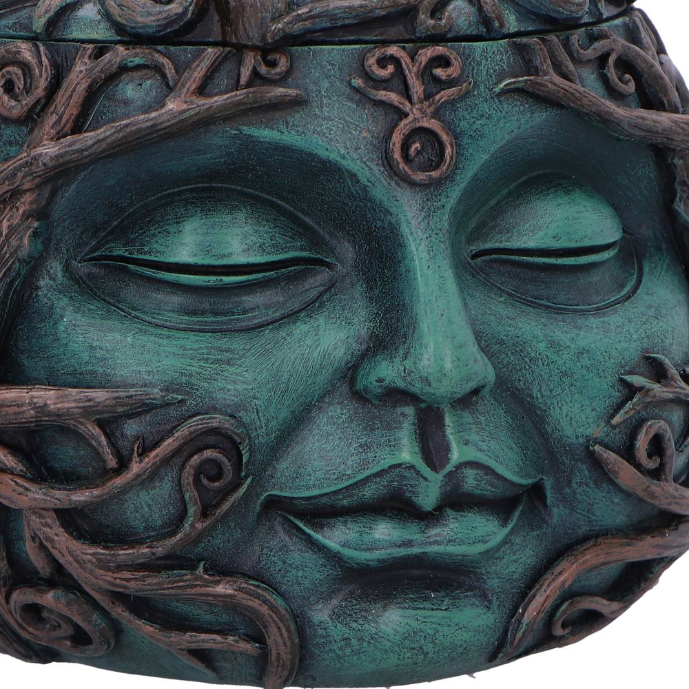 Tree Spirit Treasure Box 13cm