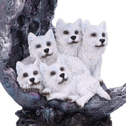 Moon Litter 19.5cm