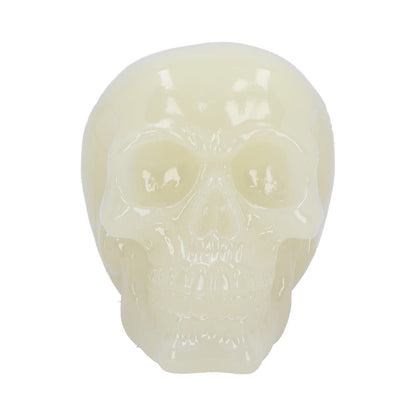 Phosphorescent (Medium) 13cm